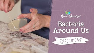 Bacteria Around Us Experiment | Kingdoms and Classification | The Good and the Beautiful