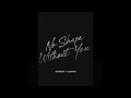 Shimza & LevyM - No Shape Without You (Visualizer) [Helix Records]