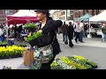 union square new york city greenmarket farmer s market