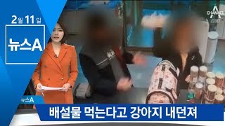 “배설물 먹으니 환불해달라”… 3개월 된 반려견 내던져 | 뉴스A