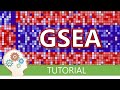 How To Perform Gsea - A Tutorial On Gene Set Enrichment Analysis For Rna-seq