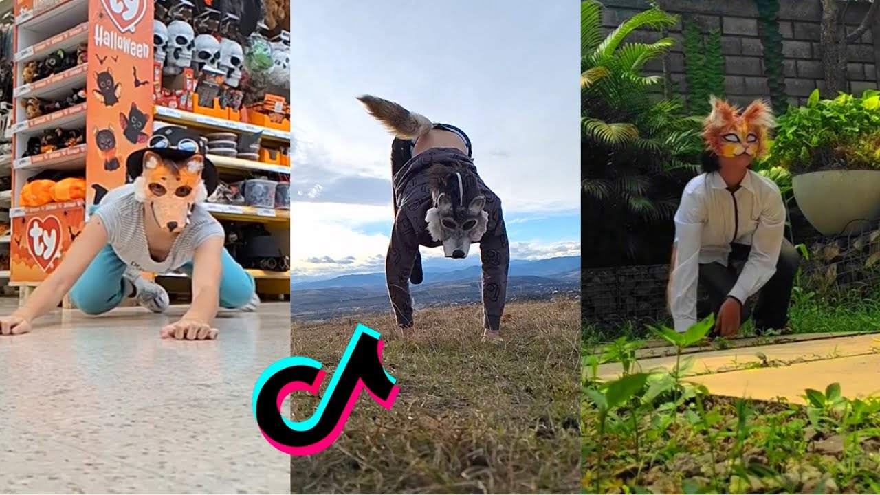 Therian Tiktok Compilation 14 Youtube
