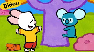 Didou dessine moi : Un joli Koala 🐨 | Compilation Enfants