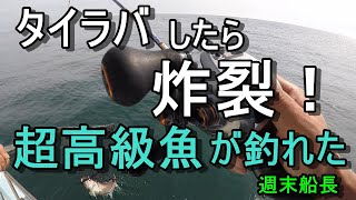 週末船長　オンボロ和船でタイラバしたらまさかの超高級魚！