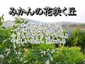 みかんの花咲く丘（日本の歌百選）カラオケ the hill where orange flowers bloom japanese top 100 songs karaoke