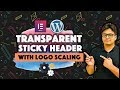 How to create transparent sticky WordPress header with logo Shrink effect Using Elementor