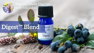 Digest Essential Oil Blend Spotlight - Vibrant Blue Oils, Jodi Cohen