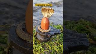 2 inch only original narmadeshwar Shivling for home Pooja order now 📞+91 9691532435 #shivapooja