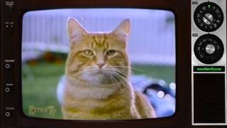 1981 - 9 Lives Cat Food - Presents Morris and Golf Lessons