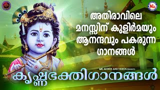 അതിരാവിലെ മനസ്സിന് കുളിർമയും ആനന്ദവും പകരുന്ന കൃഷ്ണഭക്തിഗാനങ്ങൾ|Krishna Songs|Hindu Devotional Songs