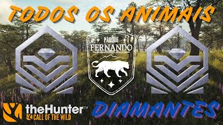 MISSÃO DIAMANTE PARQUE FERNANDO THE HUNTER CALL OF THE WILD