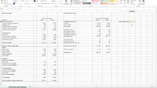 Calculating Net Profit Margin in Excel