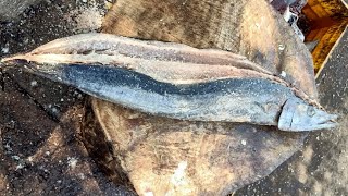 |DRY SEER FISH CUTTING|RAM FISH CUTTING|#fishcutting #kasimedu #youtube|🔪