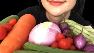 ASMR RAW VEGGIE ONIONS EGGPLANT CARROT TOMATOES MUKBANG CRUNCHY HEALTHY EATING SOUNDS NO TALKING