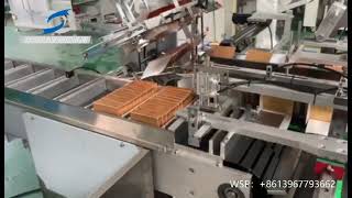 Tea Cartoning machine: automatic box packing machine, carton erecting, filling and sealing machine