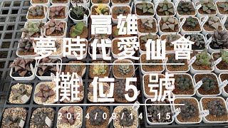 2024/09/14-15高雄夢時代愛仙市集擺攤賞起來 【 MC多肉園 】MC Succulent plant Vlog