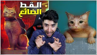 القطة الضائعة في مغامرة مجنونة #1 😳🔥 | Stray 🐈