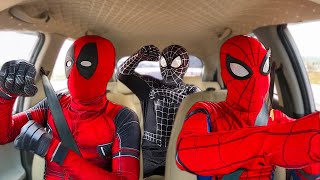 ALL SUPERHEROS Dancing In The Car | Spider-Man, Venom, Deadpool and Spider-Gwen