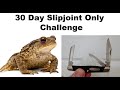 30 Day Slipjoint Only Challenge [OPEN TAG] @paddyspotatopeelers2154