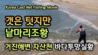 거진해변 자산천 바다투망실황, 감성돔 출몰, 낱마리조황, cast net fishing, pesca, إلقاء شبكة, വല എറിയുന്നു