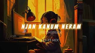 🦋 Njan Kanum Neram lofi mix | Lofi malayalam songs | Malayalam Lofi Mix 🦋