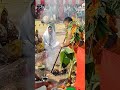 karaha pooja sunil bhagat। kashidas baba ki pooja। karaha puja puja vidio pooja shortvideo