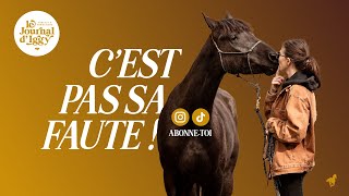 Chapitre 70 - [Poneytalk] Ce n'est jamais la faute du cheval