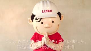 Lanko 173 Japanese | Whishtrend Thailand