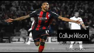 Callum Wilson - All goals - A season To remember - HD - AFC Bournemoth 2014-2015‏