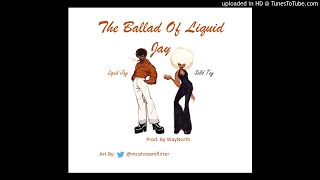 The Ballad of Liquid Jay (NorthMix)