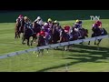 2008 manikato stakes typhoon zed