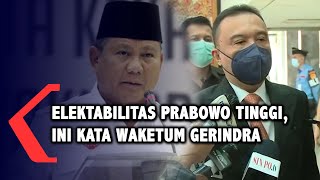 Tanggapi Elektabilitas Prabowo yang Tinggi, Ini Jawaban Waketum Gerindra