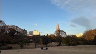 明治神宮、原宿散歩配信 12.31.24Tu Meiji Jingu, Harajuku Walking live streaming #東京 #tokyo #旅行 #travel