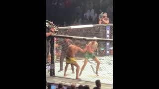 UFC 269 | Sean O’Malley Knockout | Fan Cam