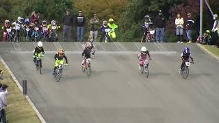 BMX　大泉　セイリンカップ　9-10　予選3組ヒート2　2019