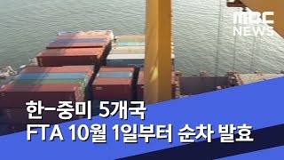 한-중미 5개국 FTA 10월 1일부터 순차 발효 (2019.08.13/5MBC뉴스)