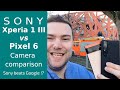 Xperia 1 III vs Pixel 6 - Camera Comparison