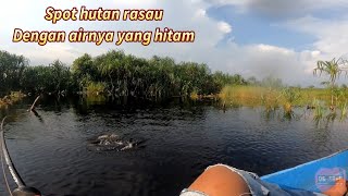 pertama kali Mencoba spot hutan rasau di pedalaman kalimantan‼️