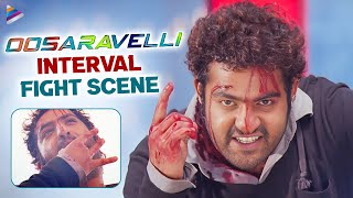 Jr NTR Oosaravelli Powerful Interval Fight Scene | Jr NTR New Movie | Kannada Dubbed Movie | TFN