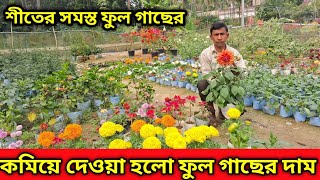 প্রত্যেকটা গাছের দাম এই মুহূর্তে কমিয়ে দেওয়া হয়েছে।