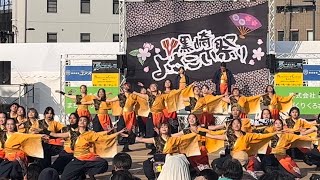 APUよっしゃ虎威【決勝演舞】（中央撮影）黒崎よさこい祭り2023