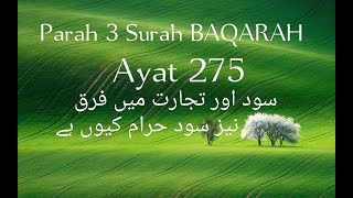Quran tilawat Parah 3 Surah Baqarah ayat 275 | Tafseer | Siratul-jinaan | Quran Recitation