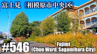 No.546【4K】富士見（相模原市中央区）