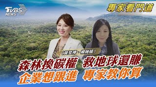 森林換碳權 救地球還賺 企業想跟進 專家教你算｜黃星樺、柳婉郁｜FOCUS午間新聞 20211206