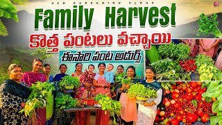 Family Harvest |సోరకాయ  వంకాయ ఎప్పుడయినా చూసారా, ఎంతో ఆనందంతో హార్వెస్ట్ చేసారు @ACHGardeningVlogs