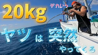 朝まずめ【シマアジ釣り】、その後【クエ釣り】！巨大◯◯釣れました！！〈釣りタマ日誌#6〉