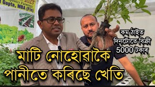 পানীত কৰিছে খেতি No soil farming ।Hydroponic farming in Assam।Hydroponic farming । Pranjal Gogoi