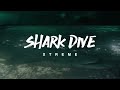 Get Xtreme with Shark Dive Xtreme