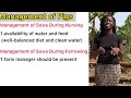 a very practical pig farming business plan