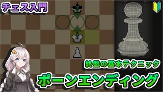 【チェス入門】１０．ポーンエンディング - 将棋にはない終盤の基本的なテクニックを詳しく解説します【初心者講座】